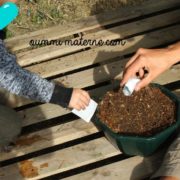 Planter des graines et observer la germination [DIY & Activités Manuelles  enfants] [Cartes de Nomenclature Montessori de la graine à la plante] -  Plus de mamans