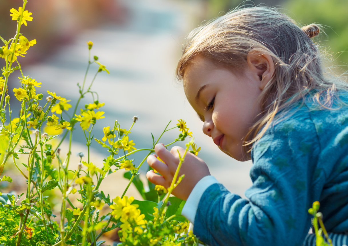 enfant renifle une fleur jaune dans la nature